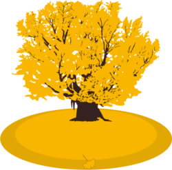 イチョウの巨木 晩秋に黄葉したイチョウの巨木のイラスト