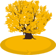 イチョウの巨木 晩秋に黄葉したイチョウの巨木のイラスト