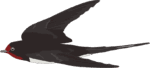 高速で飛ぶカッコいいツバメのイラスト