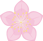 桃色の桃の花のイラスト