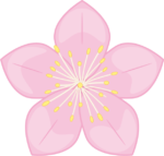 桃の花 桃色の桃の花のイラスト