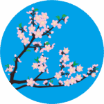 次々と花が開いていく桃の枝のイラスト
