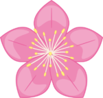 桃の花02 薄いピンク色の桃の花のイラスト