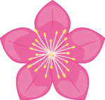 濃いピンク色の桃の花のイラスト