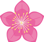 桃の花03 濃いピンク色の桃の花のイラスト