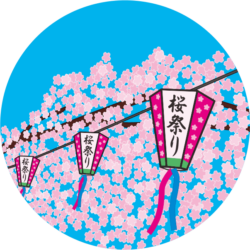 桜祭りイベントを盛り上げる花見提灯のイラスト
