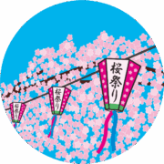 桜祭りイベントを盛り上げる花見提灯のイラスト