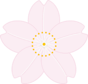 可憐な桜の花のイラスト