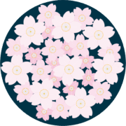 夜桜のイメージのイラスト