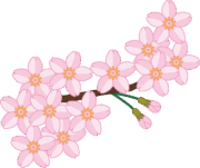 桜の枝で咲き誇っている花のイラスト