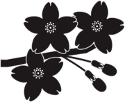 花が咲いている桜の枝のアイコン画像