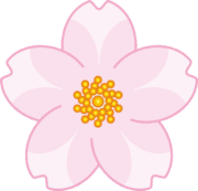 花びらが広めの可愛い桜の花のイラスト