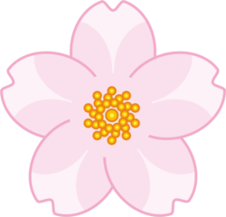 花びらが広めの可愛い桜の花のイラスト
