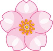 花びらが丸みを帯びている桜の花のイラスト