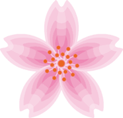 幻想的な淡い桜の花のイラスト