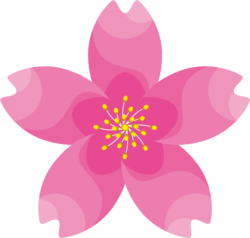 色彩豊かなサクラの花のイラスト