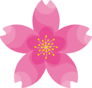 色彩豊かなサクラの花のイラスト