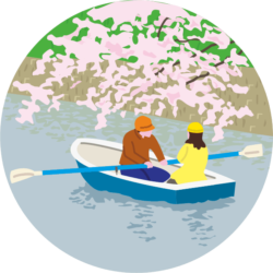 若いカップルが公園の堀でお花見ボートしているイラスト