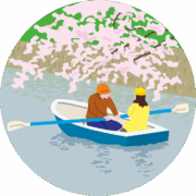 若いカップルが公園の堀でお花見ボートしているイラスト