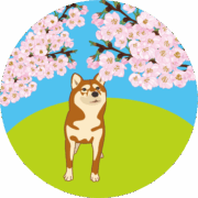 桜の花を見上げている可愛い子犬のイラスト