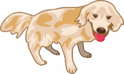 ゴールデンレトリバー 元気なゴールデンレトリバーのイラスト