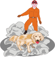 災害救助犬 行方不明者の捜索に活躍している災害救助犬のイラスト