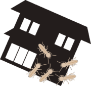 シロアリ 木材を食べて家を崩壊させるシロアリ災害のイラスト