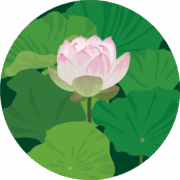 泥の中から出て美しい花を咲かせるハスのイラスト