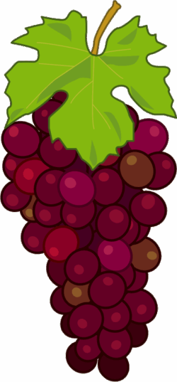 食べごろの熟れたブドウのイラスト