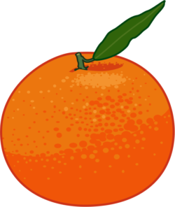 ミカン 葉っぱのついた丸いミカンのイラスト