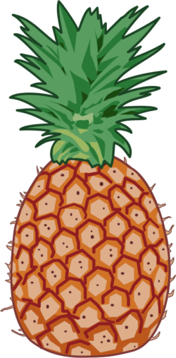 パイナップル 多汁で美味しいパイナップルのイラスト