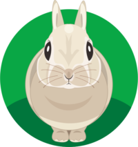 かわいいウサギ 丸顔のかわいいウサギのイラスト