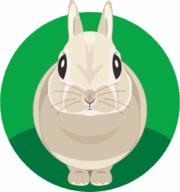 かわいいウサギ 丸顔のかわいいウサギのイラスト