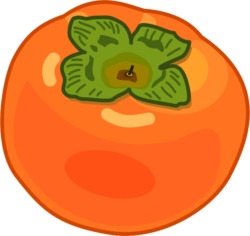 柿 光沢のある柿の果実のイラスト