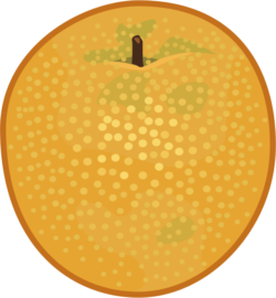 梨 みずみずしい梨の実のイラスト