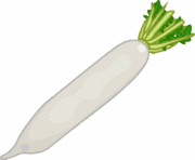 少し葉のついた新鮮な大根のイラスト