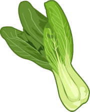 緑黄色野菜でβ-カロテンが豊富なチンゲンサイのイラスト