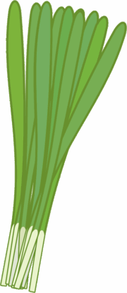 レバニラ炒めでおなじみのニラのイラスト