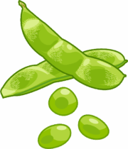 ぷくんとふくらんだエダマメのイラスト