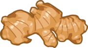 辛味と独特な香りがあるショウガのイラスト