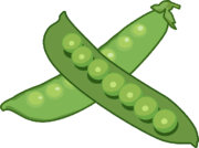 緑色一色のグリーンピースのイラスト