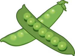 グリーンピース 緑色一色のグリーンピースのイラスト