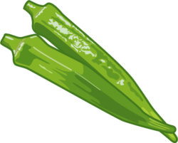 オクラ ぬめぬめした粘り気が出るオクラのイラスト