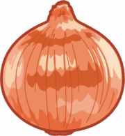 丸いタマネギのイラスト