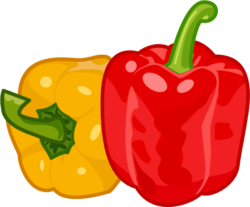 パプリカ カラフルなパプリカのイラスト