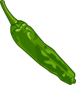 シシトウガラシ たまに辛い実もあるシシトウガラシのイラスト