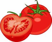 サラダに彩りを添える熟したトマトのイラスト