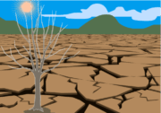 乾燥地帯 日照りが続いて乾燥地帯になってしまった地域のイラスト