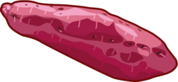 サツマイモ 皮が赤褐色のサツマイモのイラスト