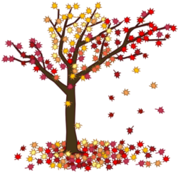 落葉 紅葉の落葉のイラスト